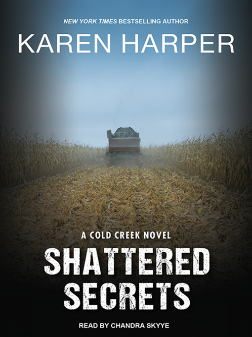 Title details for Shattered Secrets by Karen Harper - Wait list
